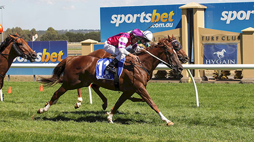 EXFLYTATIONS TOUGH DEBUT WIN..